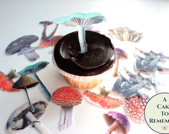 14 mushroom photos cupcake toppers, printed toadstools on edible wafer card. Perfect for woodland-themed birthdays or cake decorations.