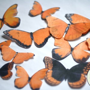 Ships fast   12 large orange edible butterflies for autumn wedding cakes, or fall woodland cake decor. Set of wafer paper cupcake toppers.