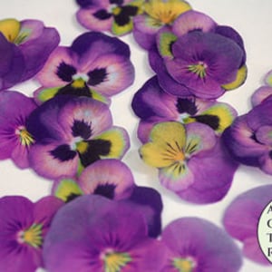 24 purple and yellow edible wafer paper pansies, 1.5" - 2" wafer paper flower cupcake toppers good for  cakes and cookies, pansy flower