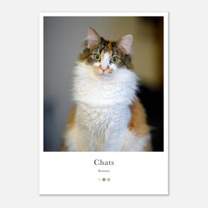Cat Poster – Artistic Feline Portrait Poster – Elegant and Tender Animal Wall Decor