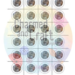 Pu&ograve; includere: Un foglio bianco con un motivo a griglia tris. Ogni cerchio nella griglia contiene un'immagine ad acquerello di un soffice gatto grigio. La parola "SAMPLE" &egrave; scritta in lettere viola in alto.