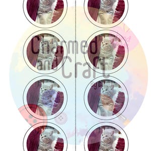 Pu&ograve; includere: Adesivi circolari con immagini di adorabili gattini grigi e bianchi. Ogni gattino &egrave; all'interno di un cerchio, su uno sfondo di tappeto bordeaux e pavimento in legno. La parola "SAMPLE" &egrave; in alto in viola.