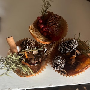 May include: Three decorative potpourri arrangements in paper cupcake cases. Each arrangement features dried orange slices, pine cones, berries, and sprigs of greenery. One arrangement includes a cinnamon stick.