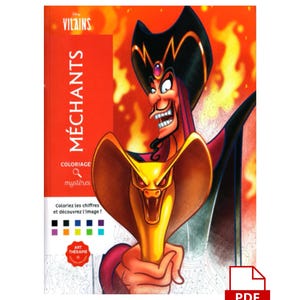 DIGITAAL - pdf - Coloriages Mysteres Méchants, meer dan 100 pagina&#39;s, Mystery Coloring, Disney-kleurboek.