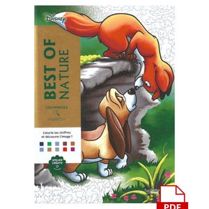 DIGITAAL - pdf - Coloriages Mysteres Best of Nature, meer dan 100 pagina&#39;s, Mystery Coloring, Disney-kleurboek.