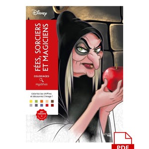 DIGITAAL - pdf - Coloriages Mysteres Fees, sorcieres et magiciens, meer dan 100 pagina&#39;s, Mystery Coloring, Disney-kleurboek.
