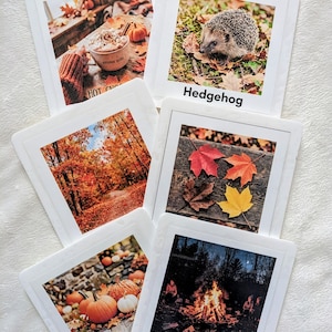 May include: A set of six square white coasters featuring autumn-themed photographic prints. The images display a cup of hot cocoa, a hedgehog, a forest with orange trees, four colourful maple leaves, pumpkins, and a bonfire with the text labels.