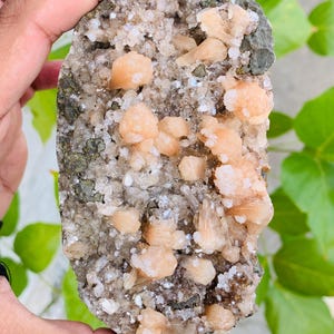 Druzy stilbiet kristalcluster – natuurlijke perzik stilbiet op matrix – sprankelend mineraal exemplaar – ruwe genezende steen – displaystuk voor verzamelaars