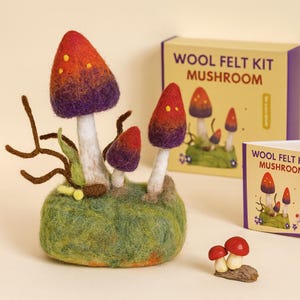 Mushroom Needle Felting Kit: Beginner DIY Wool Craft Set