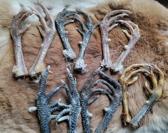 Assorted Rooster Feet with Spurs  - Dried - 6 Pairs