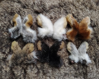 Rabbit Feet - 6 Matched Pair - Front Feet - 12 Total Feet