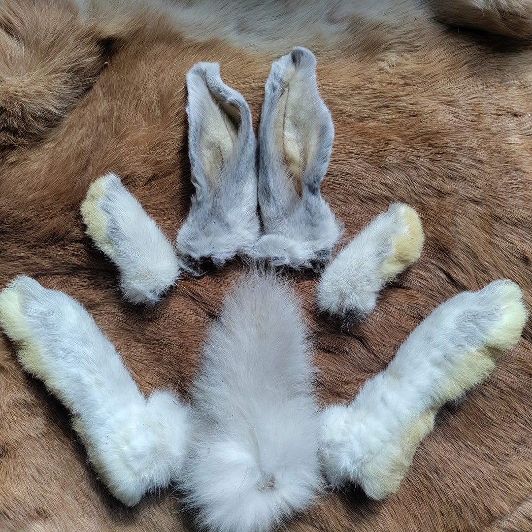 Naturally Dried Real Rabbit Tail Ears and Feet Matched Set - Etsy