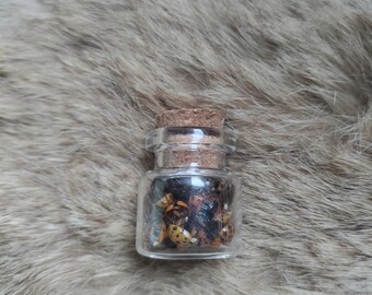 Lady Bugs in a Jar - Curiosity Cabinet Item - Cruelty Free