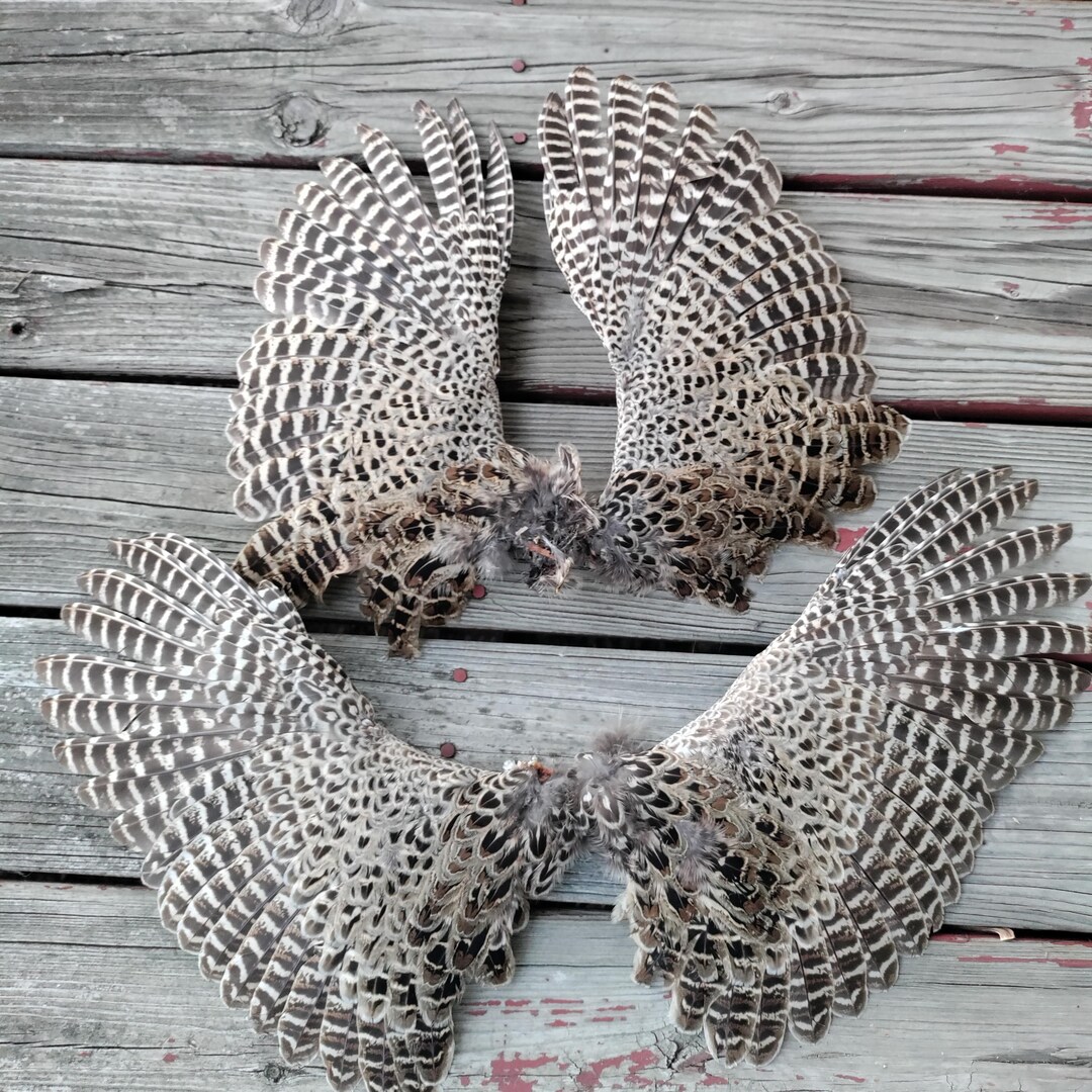 Pheasant Wing Pattern Wings Hen Pheasant 2 Pairs - Etsy