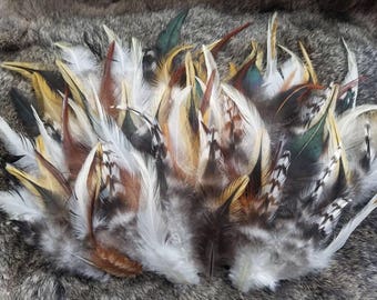 Saddle Sampler - Lot of 200 Natural Feathers