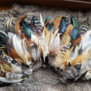 Natural Rooster Feather Sampler - Lot of over 1000