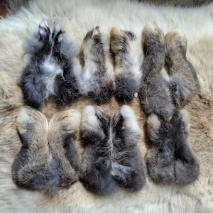 Rabbit Feet - 6 Matched Pair - Small Rear Feet - 12 Total Feet