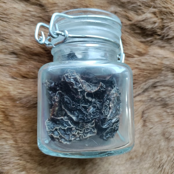 Testicles in a Jar Etsy