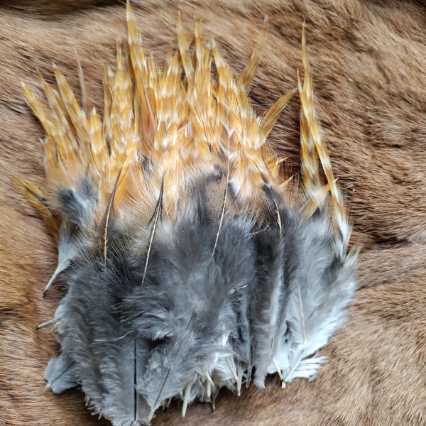 Feathers - Natural Barred Ginger Saddles - Lot of 50