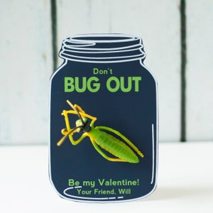 Op de afbeelding: Een marineblauwe, potvormige Valentijnsdagkaart met de tekst "Don't BUG OUT" in het groen. Een groen en geel insect is aan de kaart bevestigd. De kaart zegt ook "Be my Valentine! Your Friend, Will."