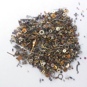 Steampunk Watch Pieces and Parts - 10g of the teeniest, tiniest watch parts - Watch glitter