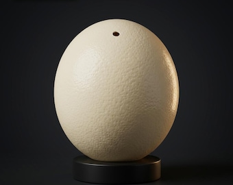 大きなアフリカダチョウの卵の殻 - ジャンボ本物のダチョウの卵 - Etsy