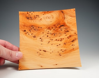 Square yew decorative dish, Christmas day gift, woodturning, from the tree