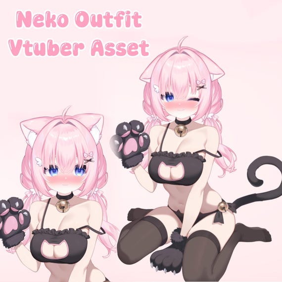 Live2D Neko Cat Vtuber Outfit Asset: Fully Rigged, Tutorial Included