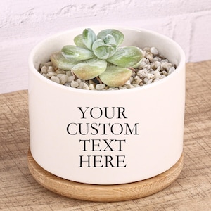 May include: A white ceramic planter with a succulent plant and small stones. The planter sits on a round wooden coaster. The text "YOUR CUSTOM TEXT HERE" is printed on the front of the planter.