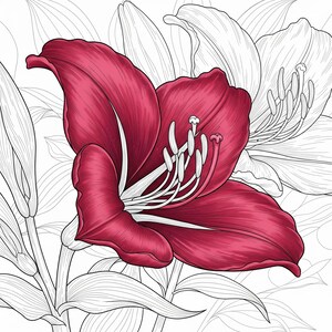 Vibrant red amaryllis fantasy flower with detailed petals and leaves from Botanical Fantasy Coloring Book, 30 printable art pages digital download, black and white line art for adult coloring