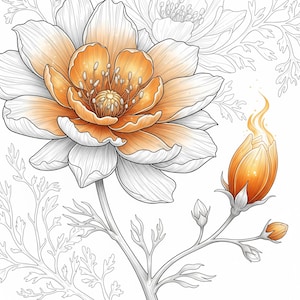 May include: A detailed illustration of a flower with orange and white petals. The flower's center is a vibrant orange with a textured appearance. A smaller, closed bud with orange hues and a flame-like shape emerges from the stem. The artwork is in a black and white line art style with color accents.