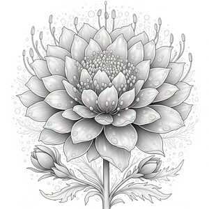 Layered chrysanthemum flower with detailed petals from Botanical Fantasy Coloring Book, 30 printable art pages digital download, realistic black and white floral art for adult coloring.