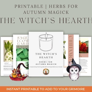 fines herbes pour la magie d&#39;automne | Guide imprimable avec utilisations, correspondances et recettes | Grimoire saisonnier de sorcellerie PDF