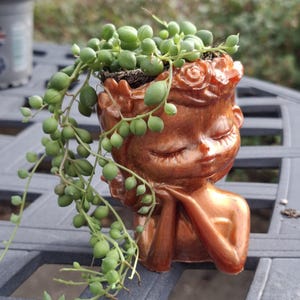 May include: A copper-coloured planter in the shape of a serene face, holding a trailing string of pearls plant. The planter has a detailed floral crown and is resting on a grey surface. The plant's green, bead-like leaves cascade down.