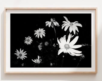 Daisy Black & White Botanical Photography Print, Minimalist Floral Wall Art