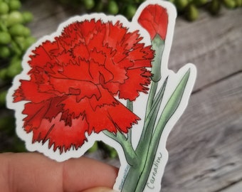 STICKER: Carnation Flower Sticker, Ohio State Flower Decal, State Floral Sticker, Flowers of Appalachia