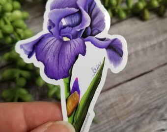 Sticker: Purple Iris Flower Decal, February Birth Month Flower, Tennessee State Flower Stickers, Appalachian Flower Stickers, Birth Flower