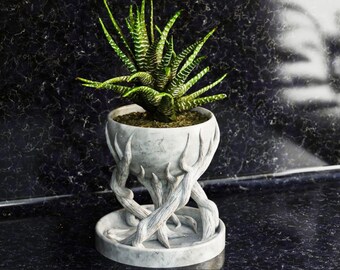 Maceta espiral moderna: decoración única para el hogar impresa en 3D