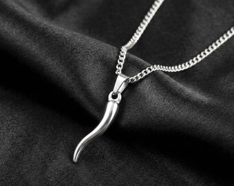 Collar de cuerno italiano de plata, colgante de acero inoxidable, amuleto de Cornicello, joyería protectora de la suerte, regalo para mujer