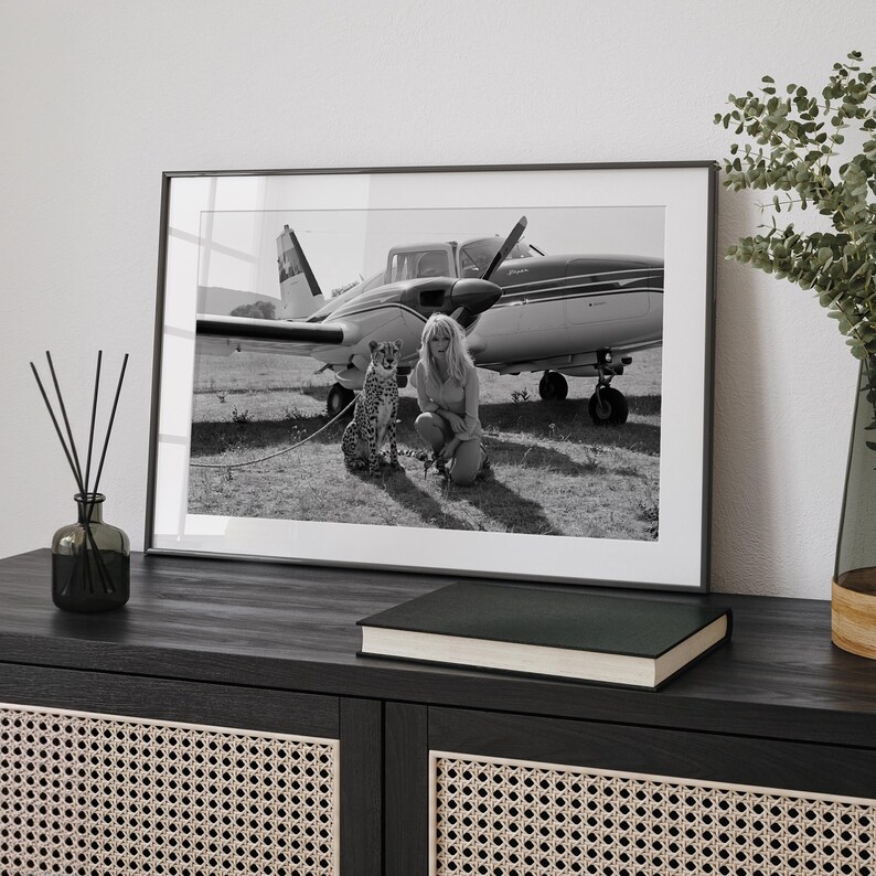 A framed black and white photograph of a woman and a cat, with a small airplane in the background, is displayed on a wooden cabinet.