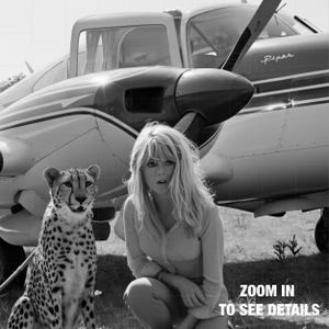 A woman in a white shirt and jeans sits next to a cheetah in a grassy field, with a small propeller plane in the background.