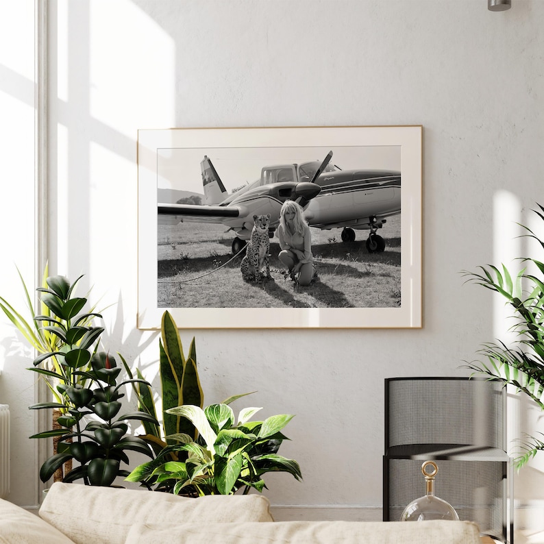 A framed black and white photograph of a woman and a dog is hanging on a wall in a living room, with several potted plants in the foreground.