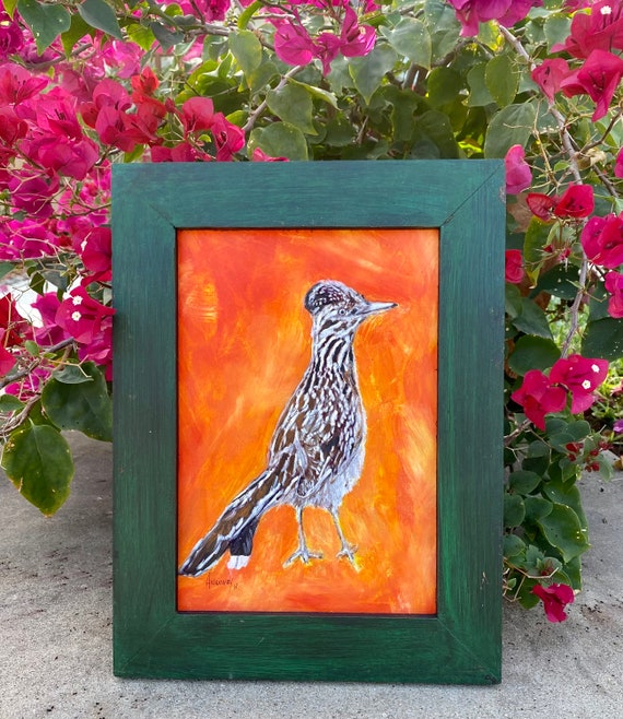 CHAPARRAL The Texas Roadrunner シャパラル写真集