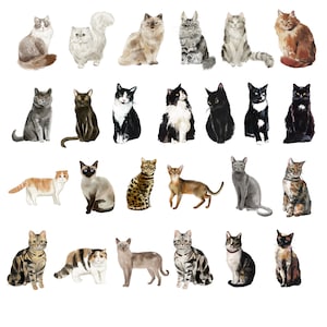 May include: A collection of 28 watercolor paintings of cats in various poses and colors. The cats are depicted in a realistic style, with detailed fur and facial expressions.