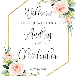 May include: A wedding welcome sign with a gold hexagonal frame and pink and white flowers. The text reads "Welcome to our wedding Audrey and Christopher May 24, 2019".