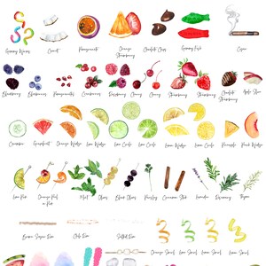 May include: A watercolour illustration of various garnishes for cocktails and drinks. The illustration includes fruits, vegetables, herbs, spices, sweets, and other decorative elements. The image is labelled "Garnishes" at the top.