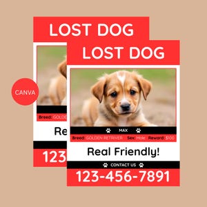 May include: Two red and white "LOST DOG" flyers. Each flyer features a photo of a Golden Retriever puppy, the text "Real Friendly!", and a phone number. The flyers also include the text "Breed: GOLDEN RETRIVER", "Sex: Male", and "Reward: $100".