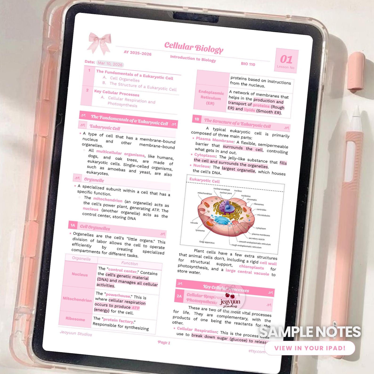 Pink Note Taking Pink Note-taking Template (coquette Google Docs) | Editable Study Notes ...