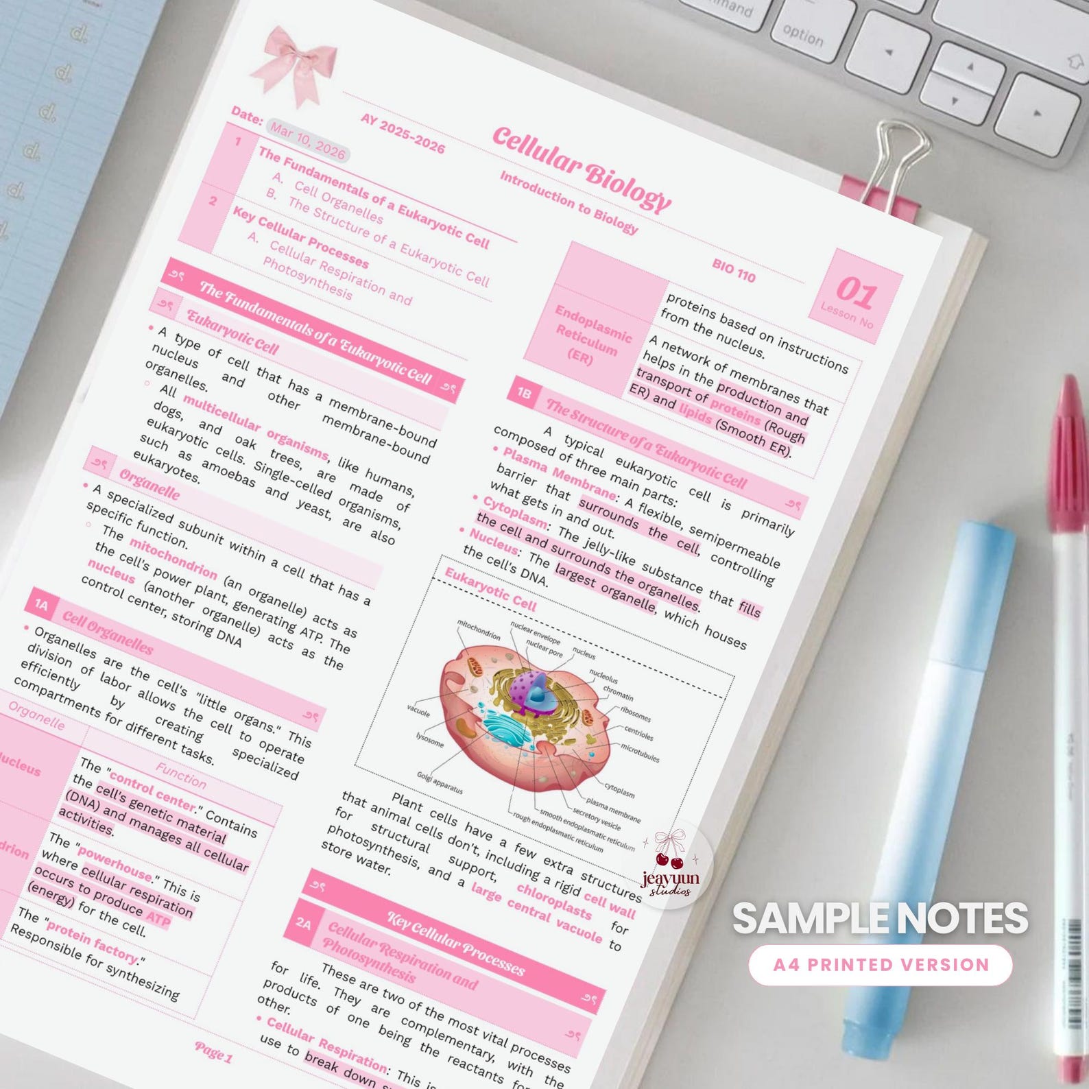 Pink Note-taking Template (coquette Google Docs) | Editable Study Notes ...