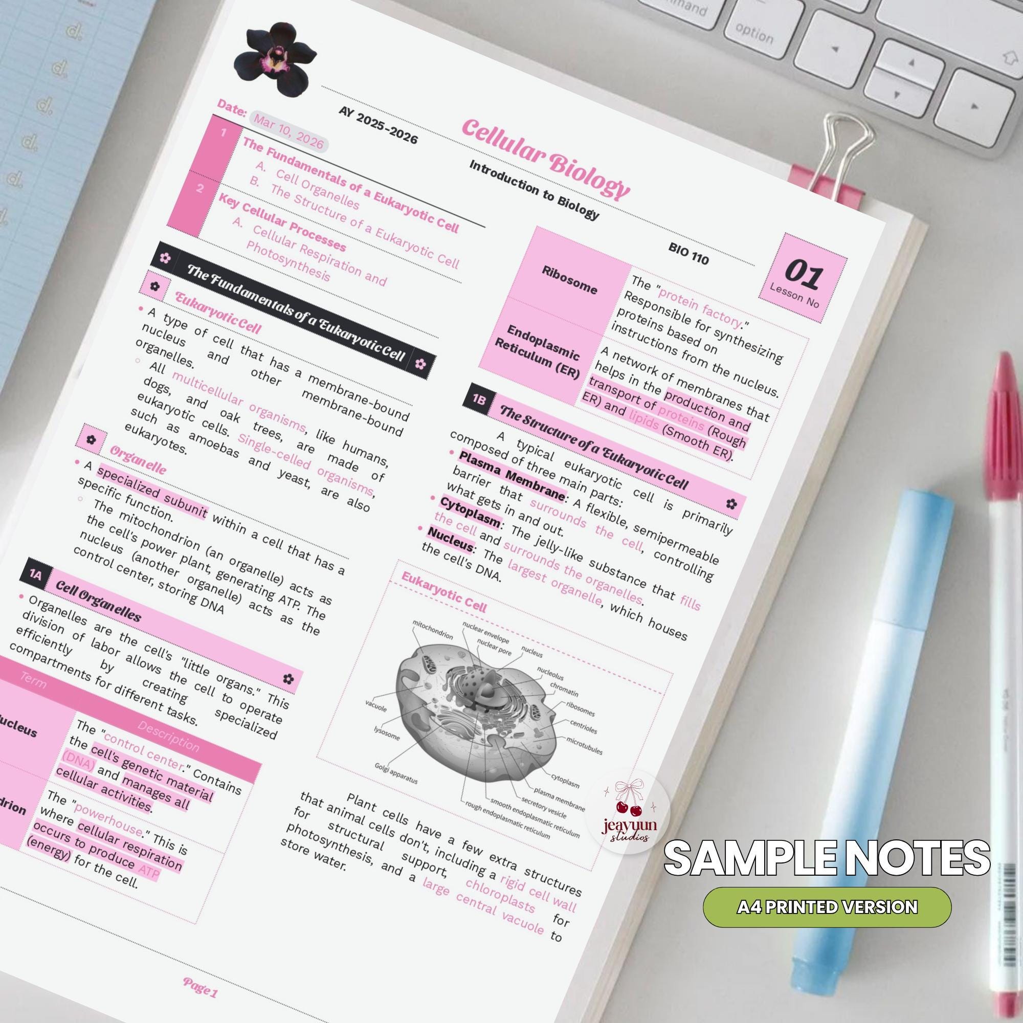 Ultimate Google Docs Note-taking Templates Bundle (13 Designs ...